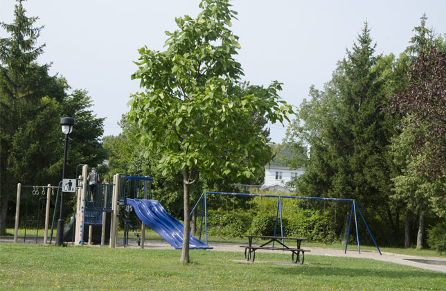 Projet Condo Pointe Est - Quartier